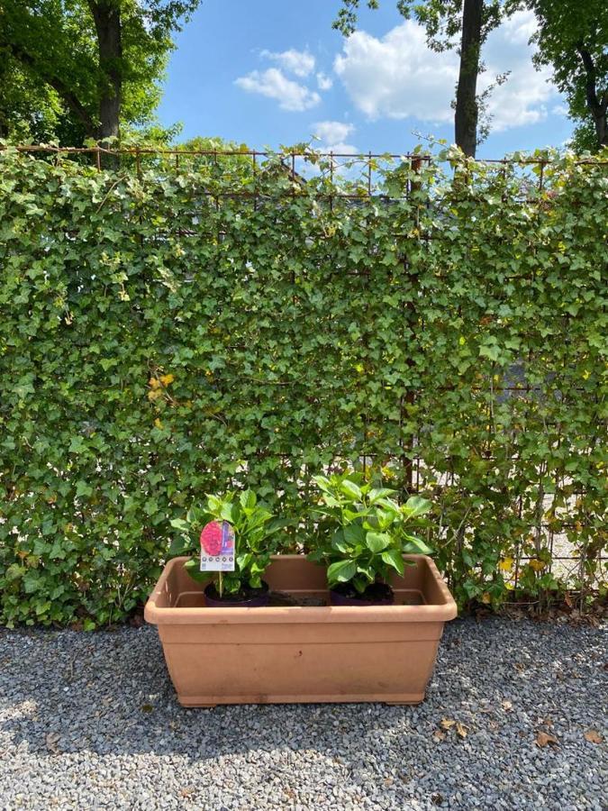 Chalet Valkenbosch Groenvink 85 Oisterwijk Εξωτερικό φωτογραφία